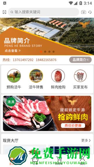 boce global shopping