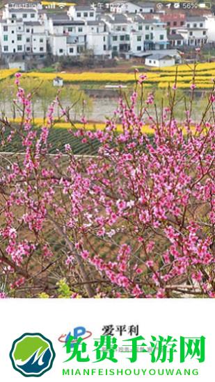 平利融媒爱平利app