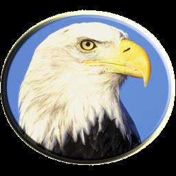 数学天堂app(数学之翼)