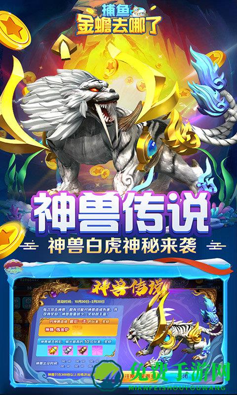 捕鱼金蟾去哪了最新版本