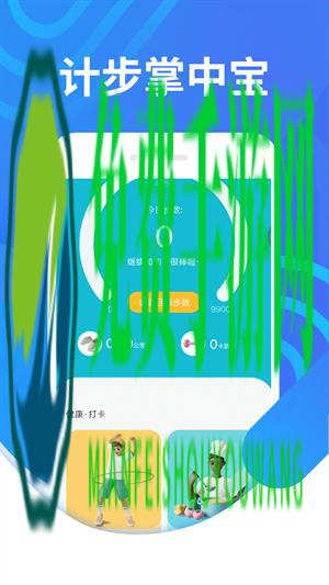 计步掌中宝