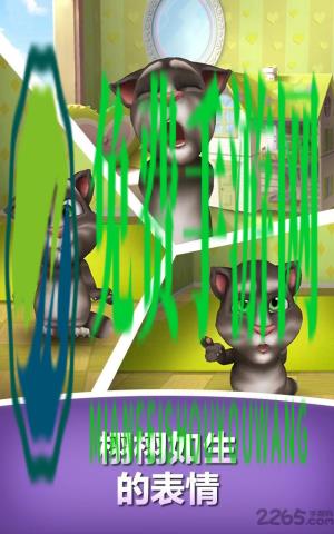 我的会说话的汤姆