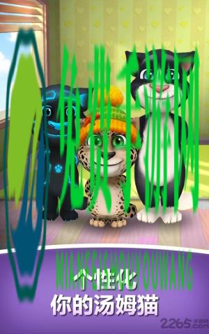 我的会说话的汤姆