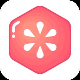 佐伊实用工具软件