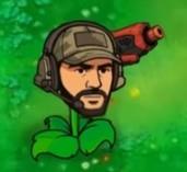 植物大战僵尸三角洲版