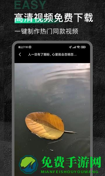 口袋今日素材app