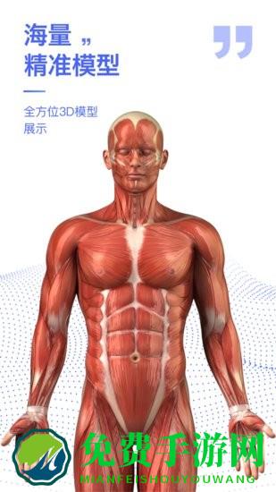 2025人体解剖学图谱