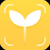 麦苗守护孩子端