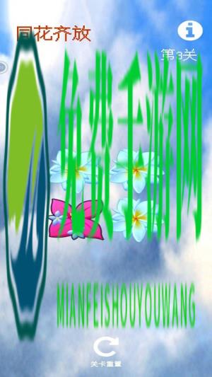 同花齐放手机版