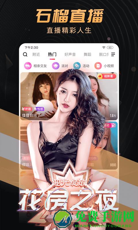 石榴直播间最新版本