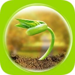 一路健康医生端