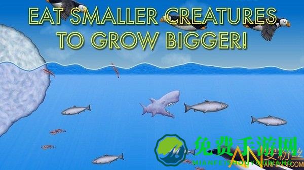 美味海洋官方版下载