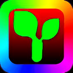 rhxled屏软件全彩版(瑞合信Plus)