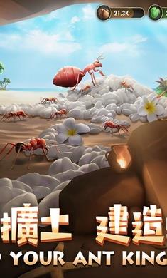 小小蚁国国际版app