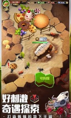 小小蚁国国际版app