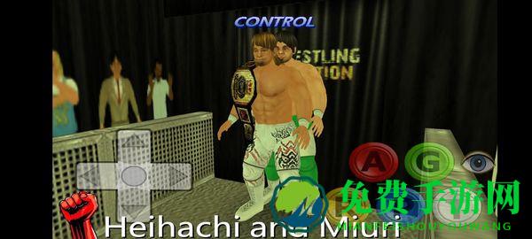 摔跤革命3d汉化版