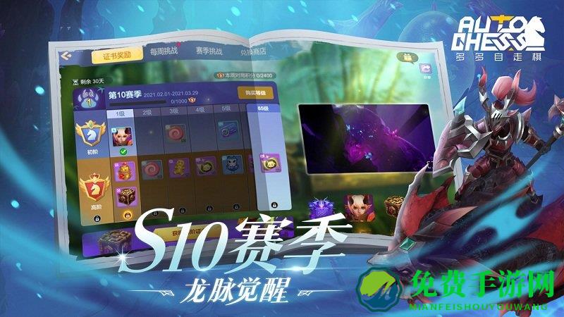 多多自走棋测试服