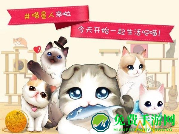 猫猫咖啡屋游戏