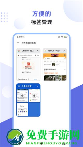 狐猴浏览器app最新版