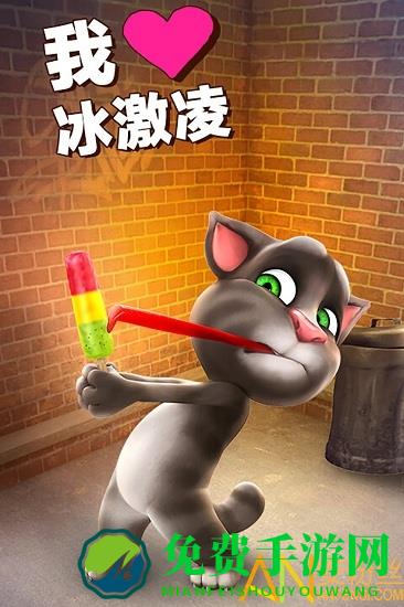 会说话的汤姆猫九游版游戏