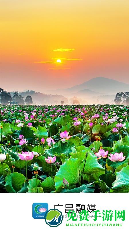 广昌融媒官方下载