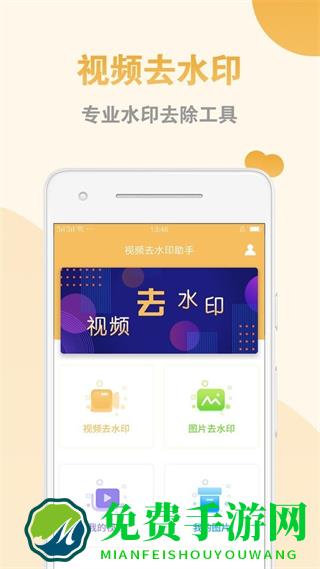 视频去水印助手app