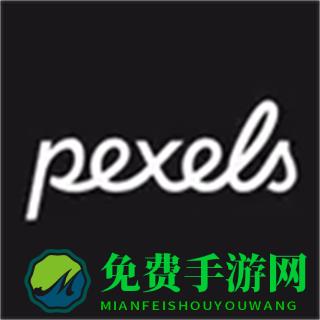 pexels中文版