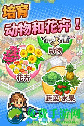 开罗游戏像素牧场物语最新版